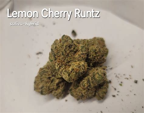 Super lemon cherry strain leafly - Tropicana Cookies, also known as "Tropicanna Cookies," "Tropicana Cookies F2," and "MTN Trop," is a hybrid marijuana strain first bred by Harry Palms of Bloom Seed Co, who crossed GSC and Tangie.
